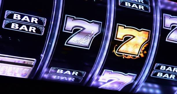 toto12 bulan Bingo – Live Number Draws, Real Payouts